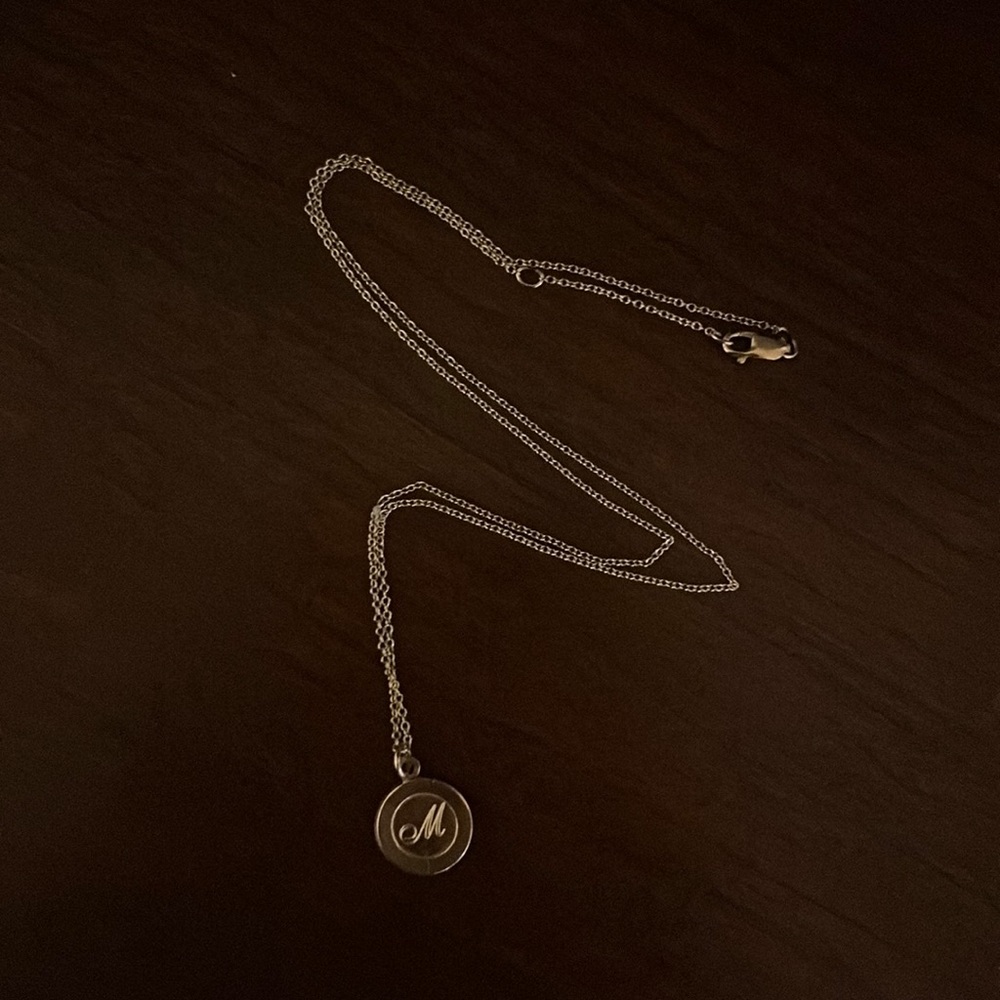 Gold filled enewton necklace